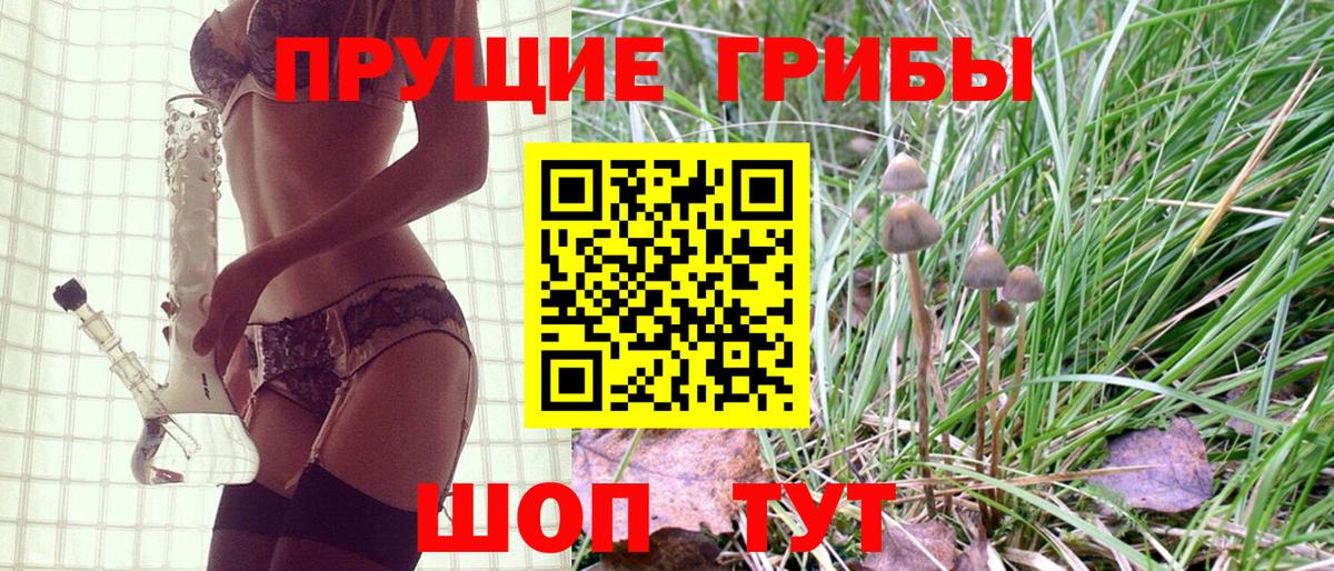 Псилоцибиновые грибы мицелий Гусиноозёрск