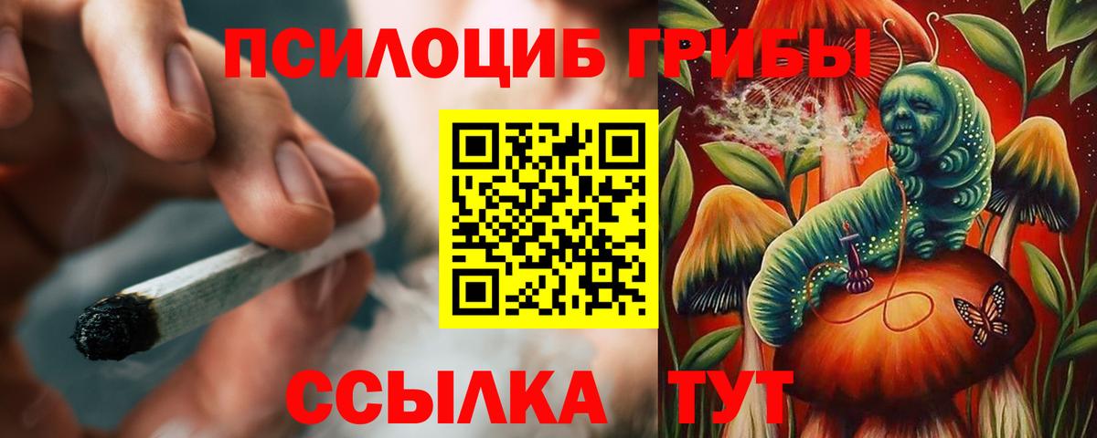 Гусиноозёрск  Галлюциногенные грибы ЛСД  Вход с VPN 