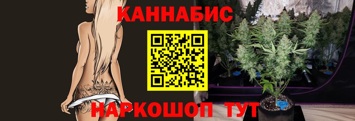 Бошки марихуана гибрид Гусиноозёрск